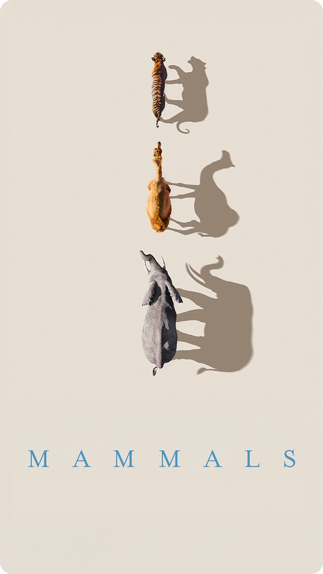 Mammals